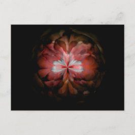 テンペスト（赤） ポストカード