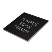 テンポスデザックス タイル (側面)