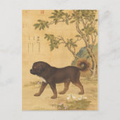 テン素晴らしハウンズ – カンニ（チベットの山犬） ポストカード (正面)