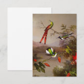 テン・ハミングバードのあるトロピカルな風景 ヘッド 出欠カード (正面/裏面)