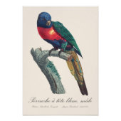 テートブルーのパールチェ フォトプリント            (正面)