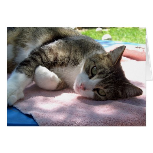 テーブルのグリーティングカー空白のドの大きな男の子 (正面横)