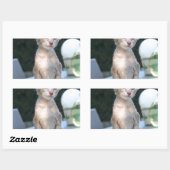 テーブルの上のシャム猫 長方形シール (シート)