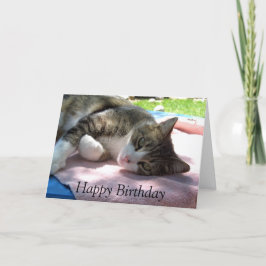 テーブルの上のビッグボーイキャット誕生日カード カード