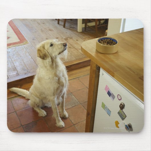 テーブルの上の食べ物を見ている犬。 マウスパッド (正面)