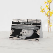 テーブルの下のマルチーズ誕生日ユーモアのカード カード (黄色い花)