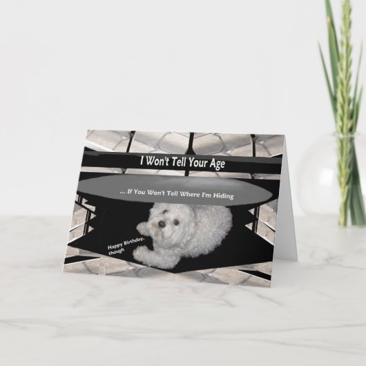 テーブルの下のマルチーズ誕生日ユーモアのカード カード (正面)