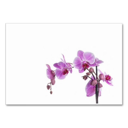 テーブルカード (正面)