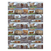 テーブルクロスのハイランドカウフォトコラージュ テーブルクロス (正面)