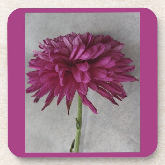 テーブルセッティング デコ コースター (正面)