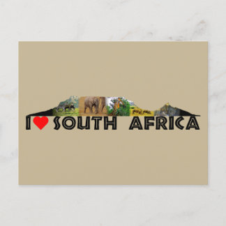 テーブルマウンテンワイルドライフコラージポストカード ポストカード