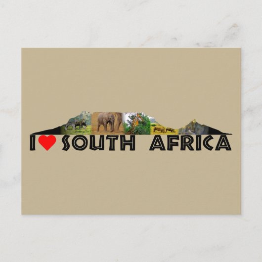 テーブルマウンテンワイルドライフコラージポストカード ポストカード (正面)