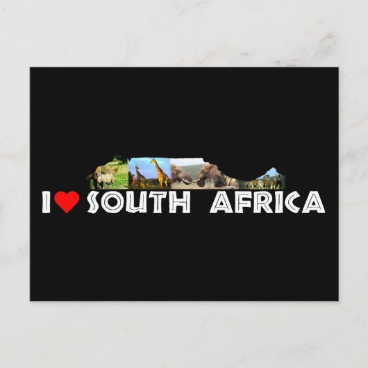 テーブルマウンテンワイルドライフコラージュ ポストカード (正面)