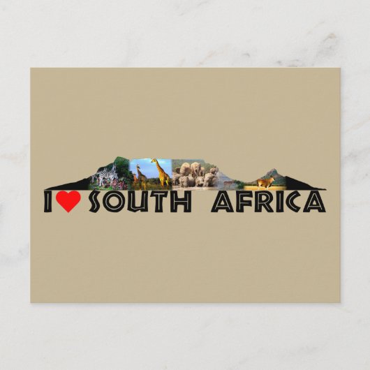 テーブルマウンテンワイルドライフコラージュ ポストカード (正面)