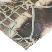 テーブルランナーの上のラクーン ロングテーブルランナー (コーナー)