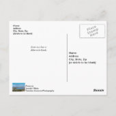 テーブルロックレイクはがきで雪がちり ポストカード (裏面)