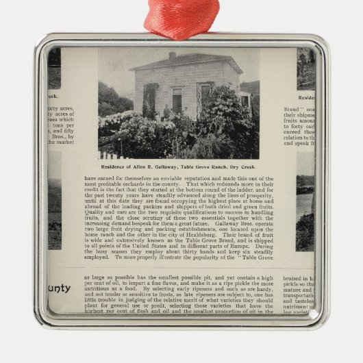 テーブル果樹園牧場、カリフォルニア メタルオーナメント (正面)