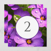 テーブル番号のフローラ縁ど シーズンカード (正面/裏面)