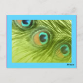 テーブル番号ターコイズブルーとライム孔雀 ポストカード (裏面)