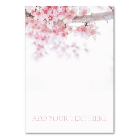 テーブル番号：さくらんぼ テーブルナンバー (正面)