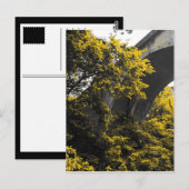 テーベ橋 ポストカード (正面/裏面)