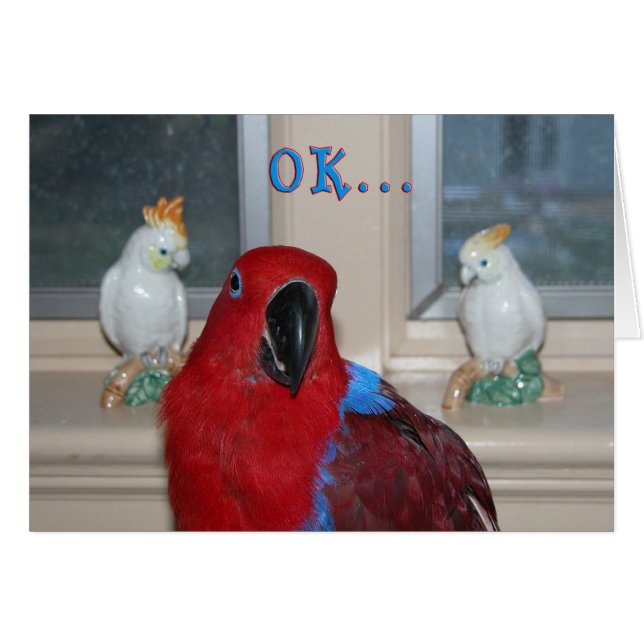 テーマオウム (正面横)