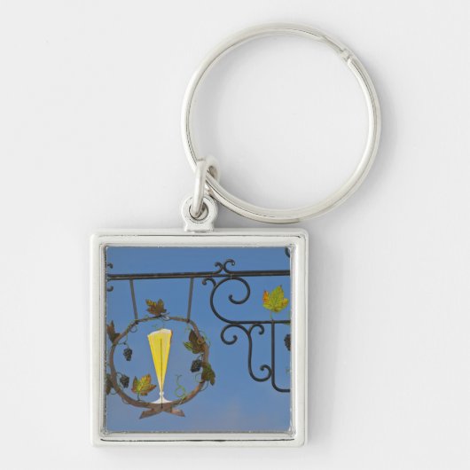 テーマ キーホルダー (正面)