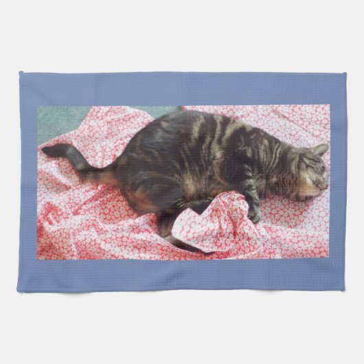 テーラーデイブティータオル キッチンタオル (横)