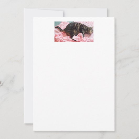 テーラーデイブ招待状 招待状 (正面)