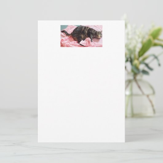 テーラーデイブ招待状 招待状 (スタンド正面)