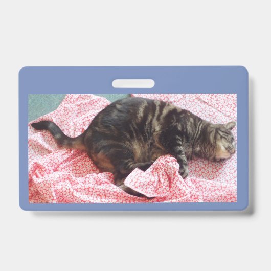 テーラーデイブIDバッジ バッジ (正面)