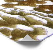 テールスポットのビレンニーのトリオ ポスター (角)