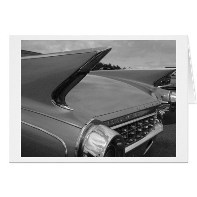 テールフィン (正面横)