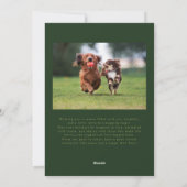 テール&ティンセルドッグフォトグリーンクリスマス シーズンカード (裏面)