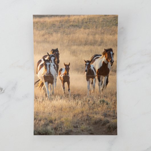 テーレカーと彼の家族のグリーティングカード サンキューカード (内部)