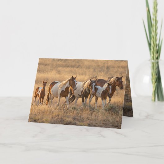 テーレカーと彼の家族のグリーティングカード サンキューカード (正面)