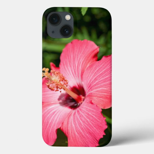 デアボーン·ミシガン。詳細 Case-Mate iPhoneケース (裏面)