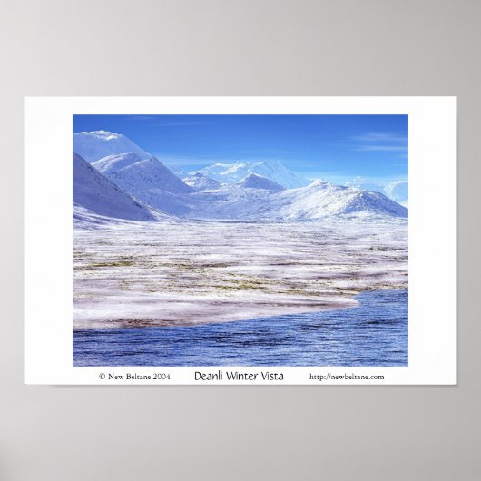 デアンリウィンタービスタ ポスター (正面)