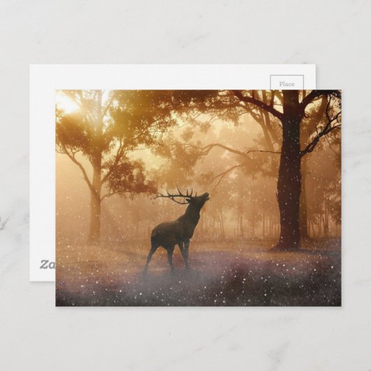 ディアアントラーメドウ ポストカード (正面/裏面)