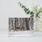 ディアインスノーイーグルクリークシティパーク シーズンポストカード (スタンド正面)