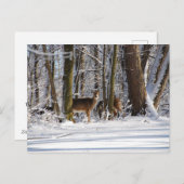 ディアインスノーイーグルクリークシティパーク シーズンポストカード (正面/裏面)