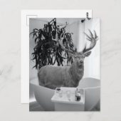 ディアインバスタブ白黒バスルーム ポストカード (正面/裏面)