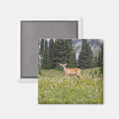 ディアインパラダイスパーク マグネット (正面/裏面)