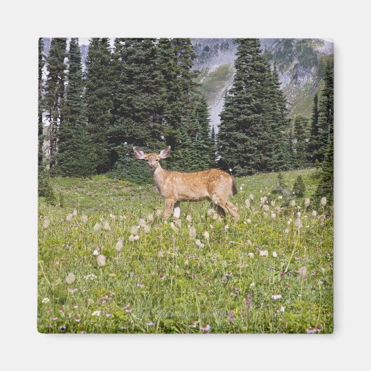 ディアインパラダイスパーク マグネット (正面)