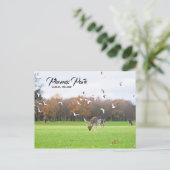 ディアインフェニックスパークダブリンポストカード ポストカード (スタンド正面)