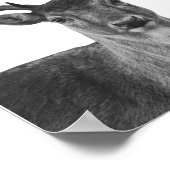 ディアスタグ白黒キャビンスタイルポスター ポスター (角)