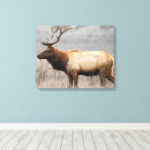 ディアスタッグ動物野生動物自然バック キャンバスプリント (インサイチュ (ウッドフロア))