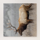 ディアスタッグ動物野生動物自然バック ジグソーパズル (縦)