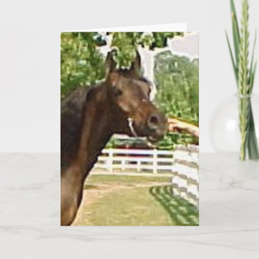 ディアダムズアジサ シーズンカード (正面)