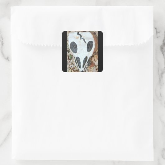 ディアデミュートス絵を描スカル スクエアシール (バッグ)